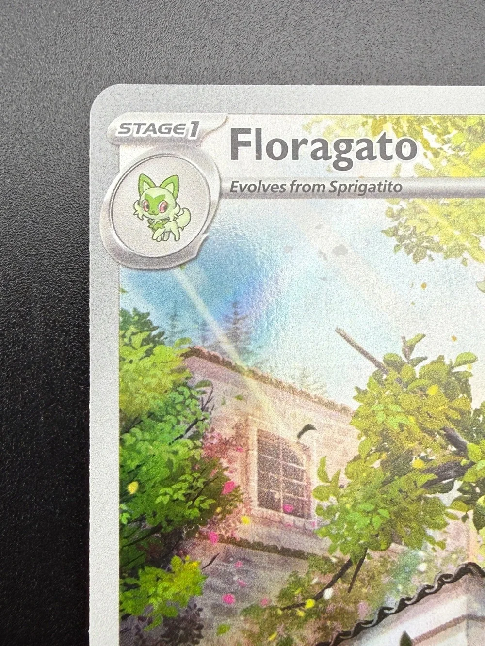 Floragato 197/193 Sv02 Paldea Evolved Illustration Rare Holo